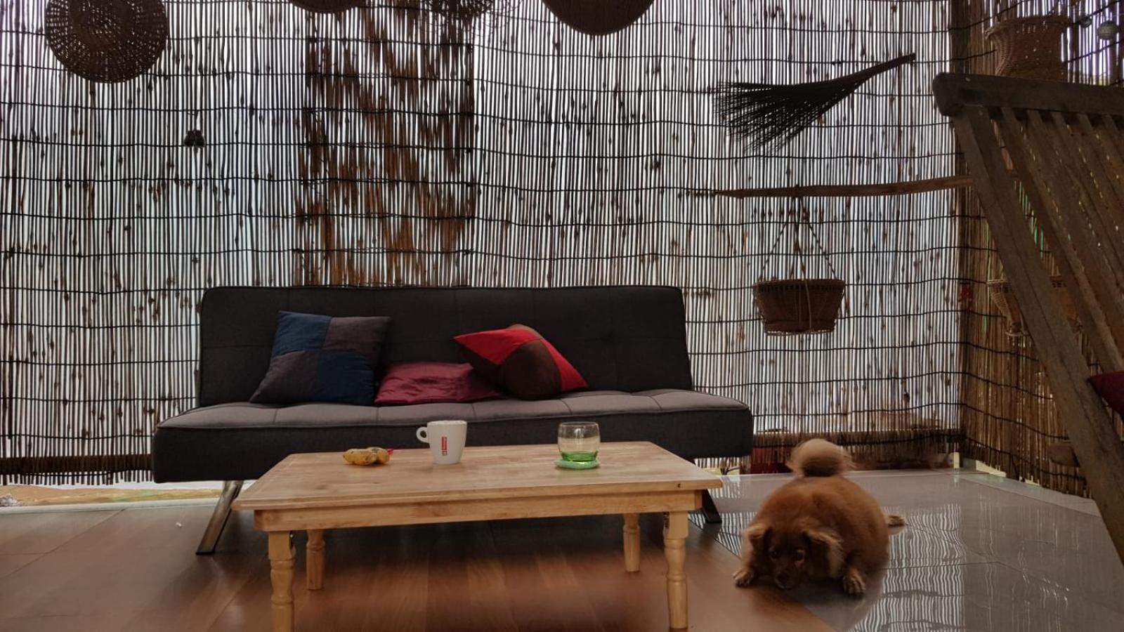 Bloom Garden Bed & Breakfast 시엠리아프 외부 사진