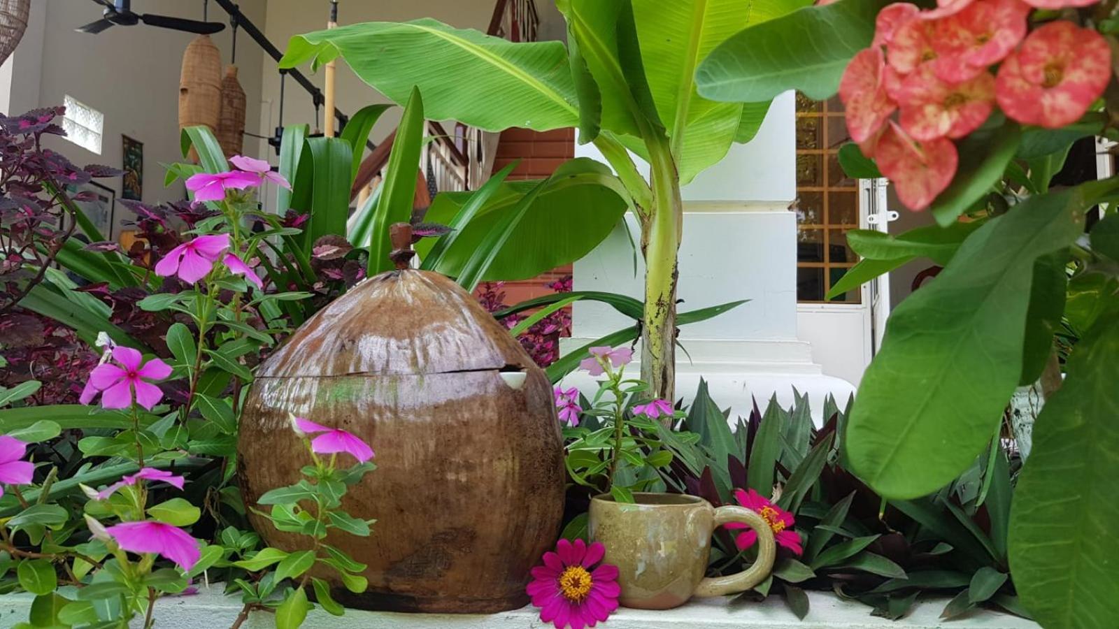 Bloom Garden Bed & Breakfast 시엠리아프 외부 사진