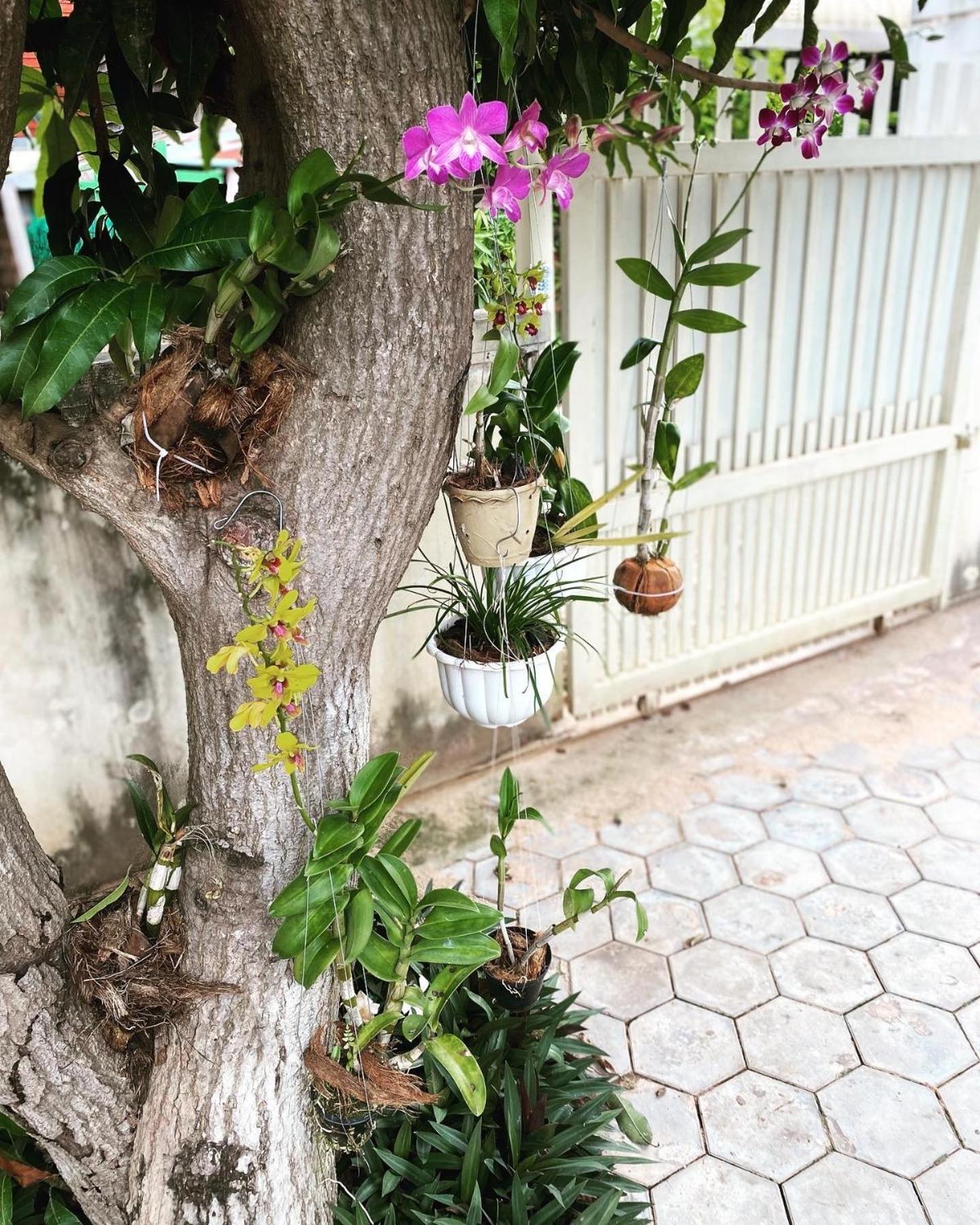 Bloom Garden Bed & Breakfast 시엠리아프 외부 사진